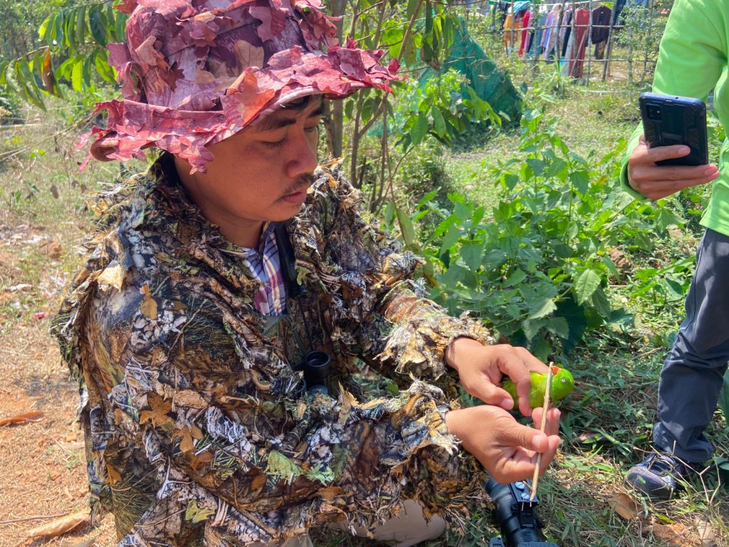 Birdwatching in Cambodia outdoor activities in cambodia