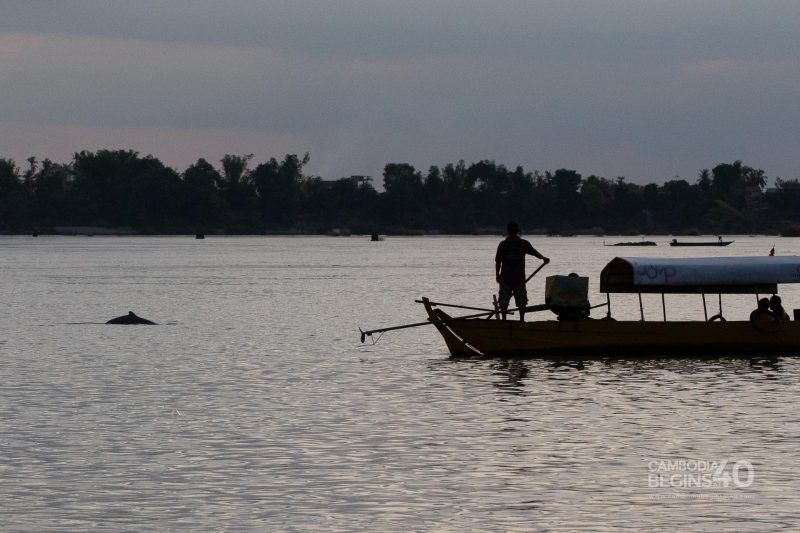 Mekong Freshwater Dolphins