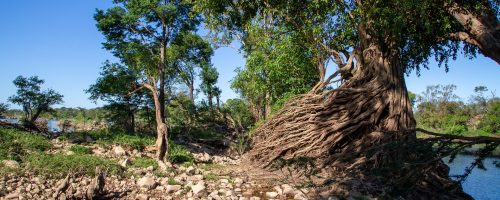 things to do in stung treng