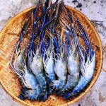 Mekong Lobster: The River of Sapphire