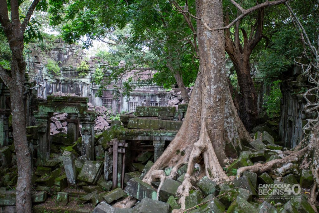 Beng Mealea: Explore temples hidden in the jungles of Cambodia
